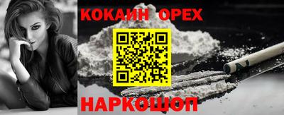 spice Славгород