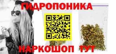 a pvp Сланцы