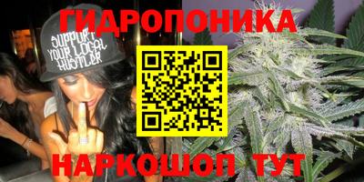 a pvp Сланцы
