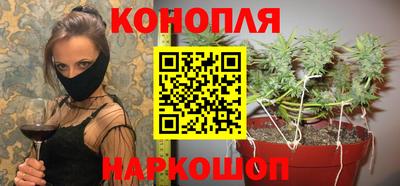 spice Славгород