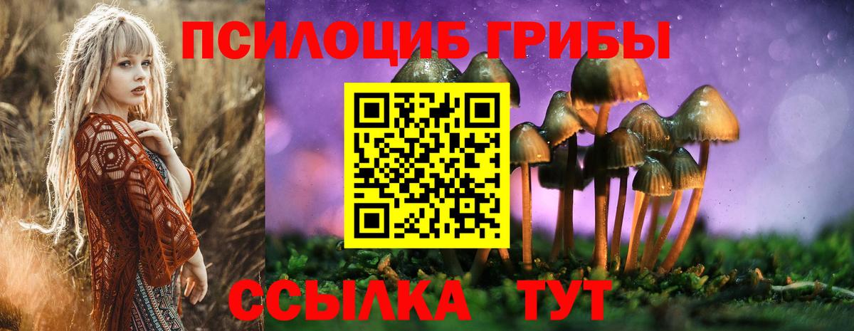 Серпухов  Галлюциногенные грибы Psilocybe  Вход с VPN 